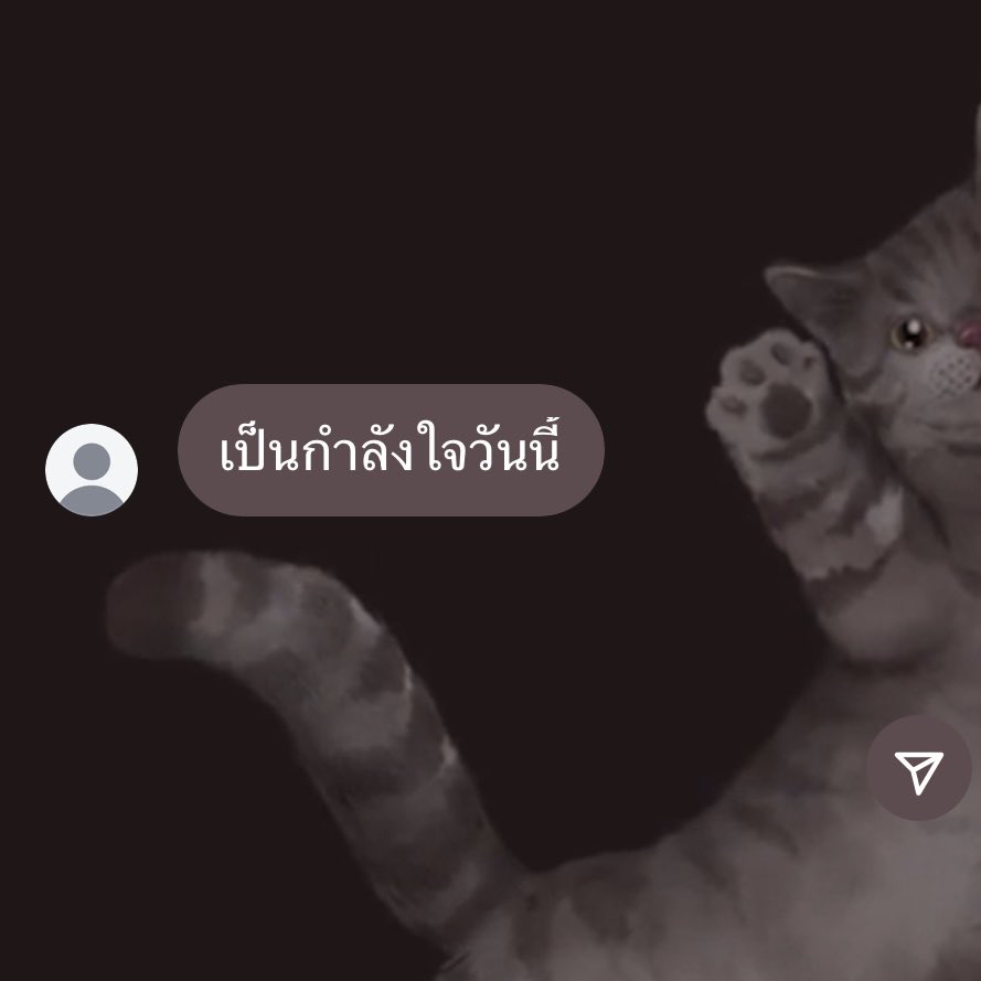 binko ◡̈ tweet media