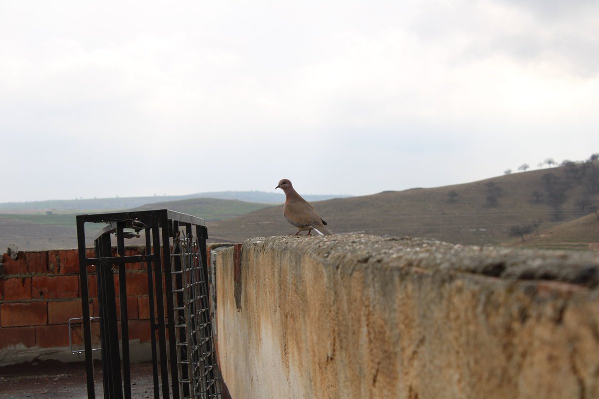 <a href="/arya_paleous2/">ARYA PALEOUS photo</a>