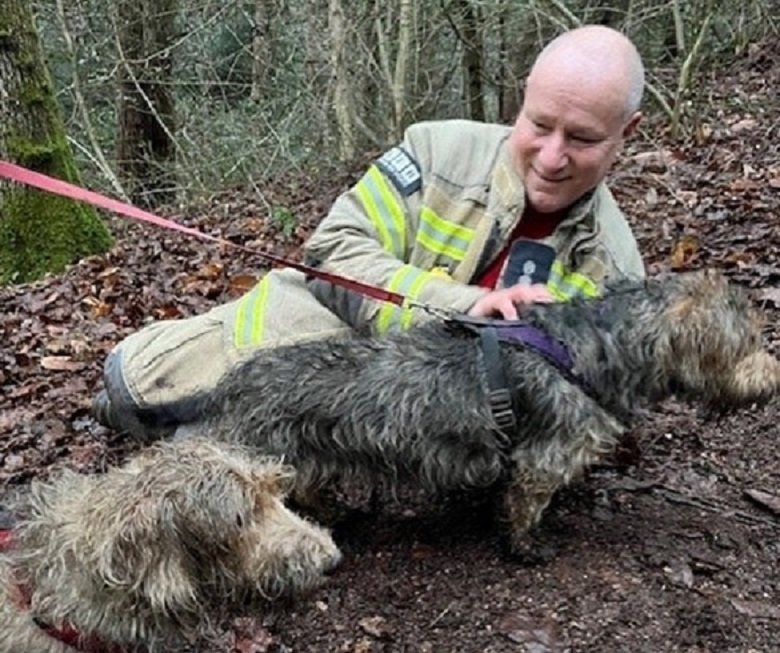 Firefighters from Addington and Woodside fire stations rescued a dog from a drainpipe in Croydon recently!
Firefighters love animals and we’re ready, willing and able to assist distressed or injured animals – but we do encourage people to call the RSPCA in the first instance.