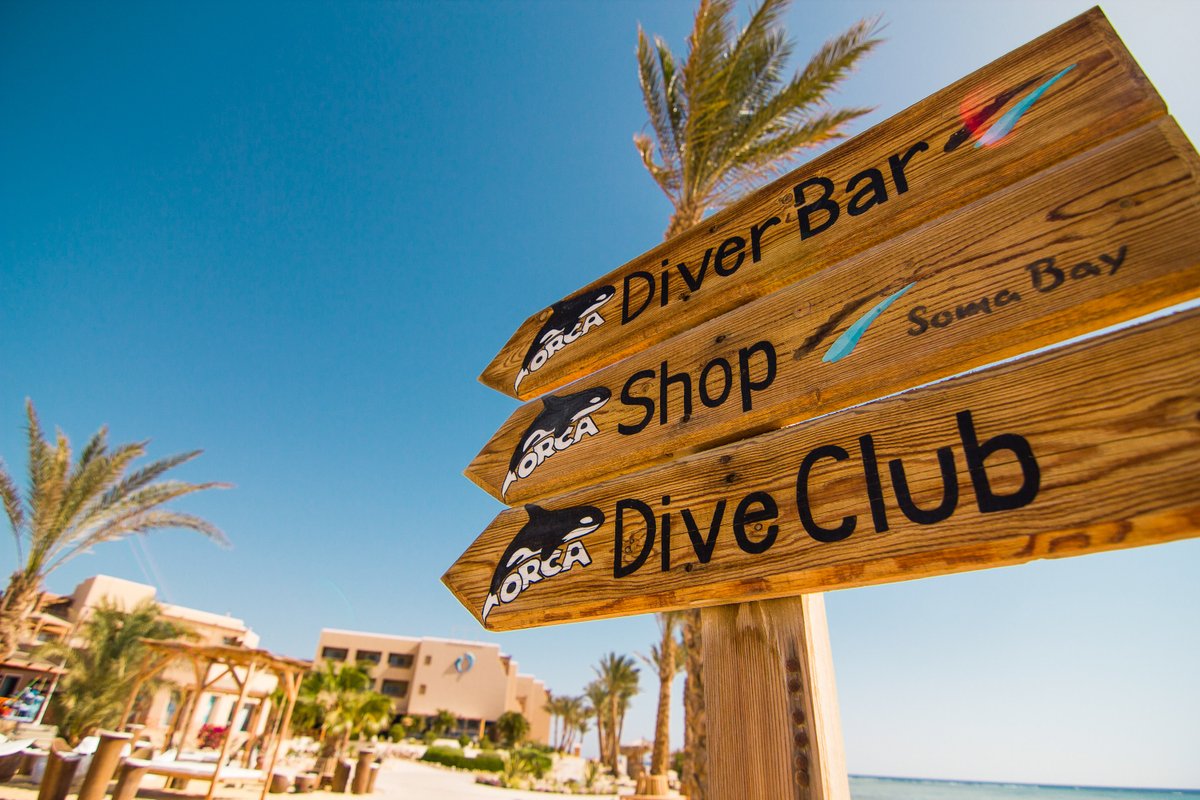 Interested in a resort based diving holiday in the Red Sea? Check out The Breakers Diving &amp; Surfing Lodge!
Save on this fantastic resort with our special offer, now with 10% on selected stays! Get in touch  ▶️regal-diving.co.uk/breakers-soma-…