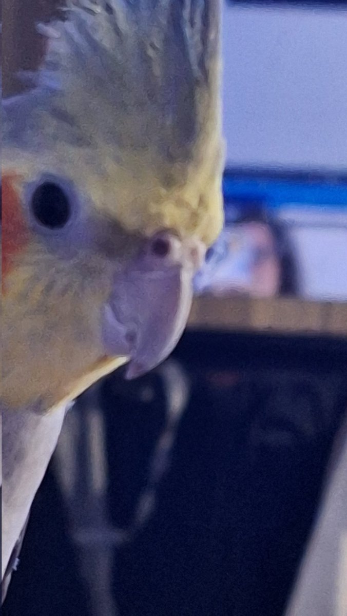 Instagram acaba de cambiarme de orden los contactos para mandar reels, primero el diseño y ahora el orden... ya no encuentro a nadie me acaba de arruinar la vida(?