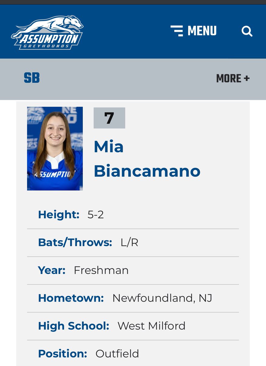 WMSOFTBALL tweet media