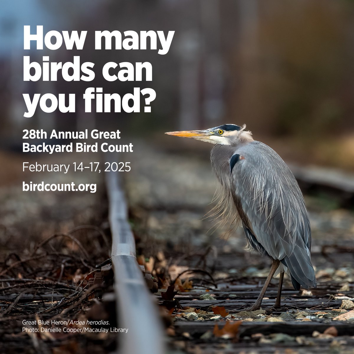 Live Wildly tweet media