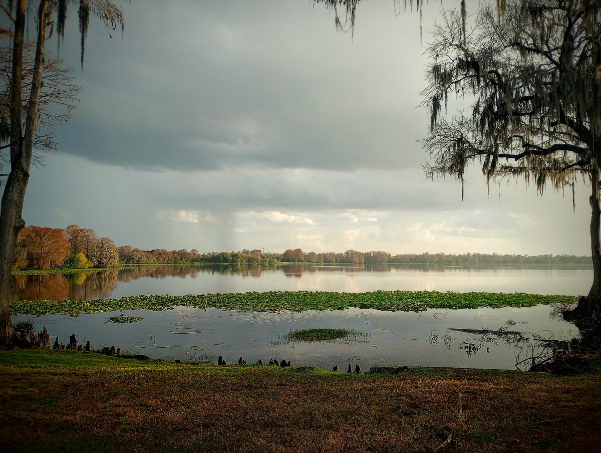 HauntFreak11's tweet image. Thursday views

- #OutForAWalk #LakeOrlando #Rosemont