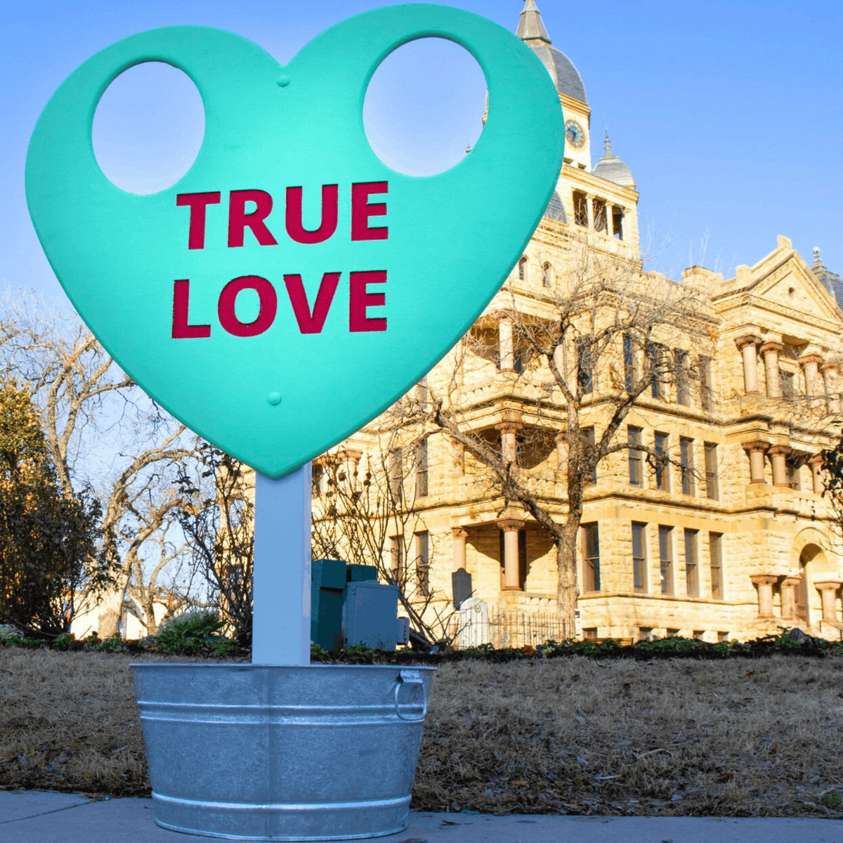 Discover Denton Texas tweet media