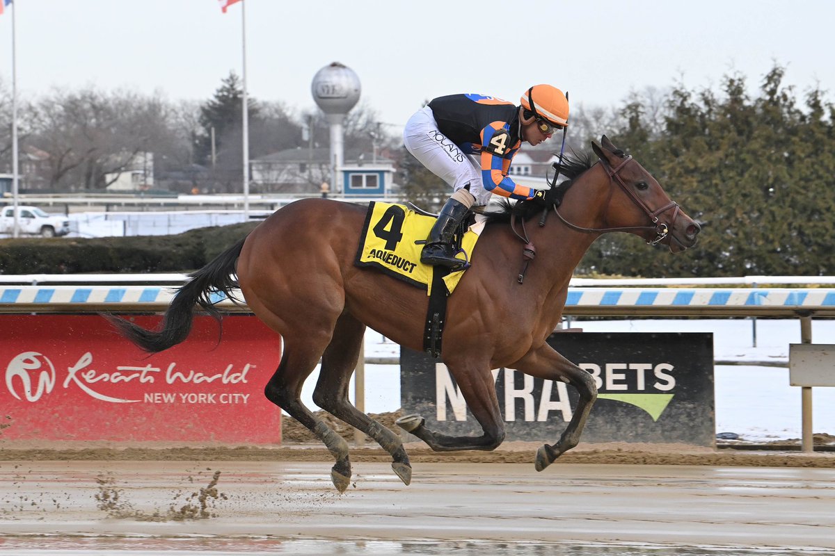 Blue Eyed Scout WINS <a href="/TheNYRA/">NYRA (🗽)</a> ! Congrats to all connections on a great maiden-breaking win! <a href="/KeiberJCoa/">Keiber J Coa</a> <a href="/JAbreuRacing/">Jorge Abreu</a>