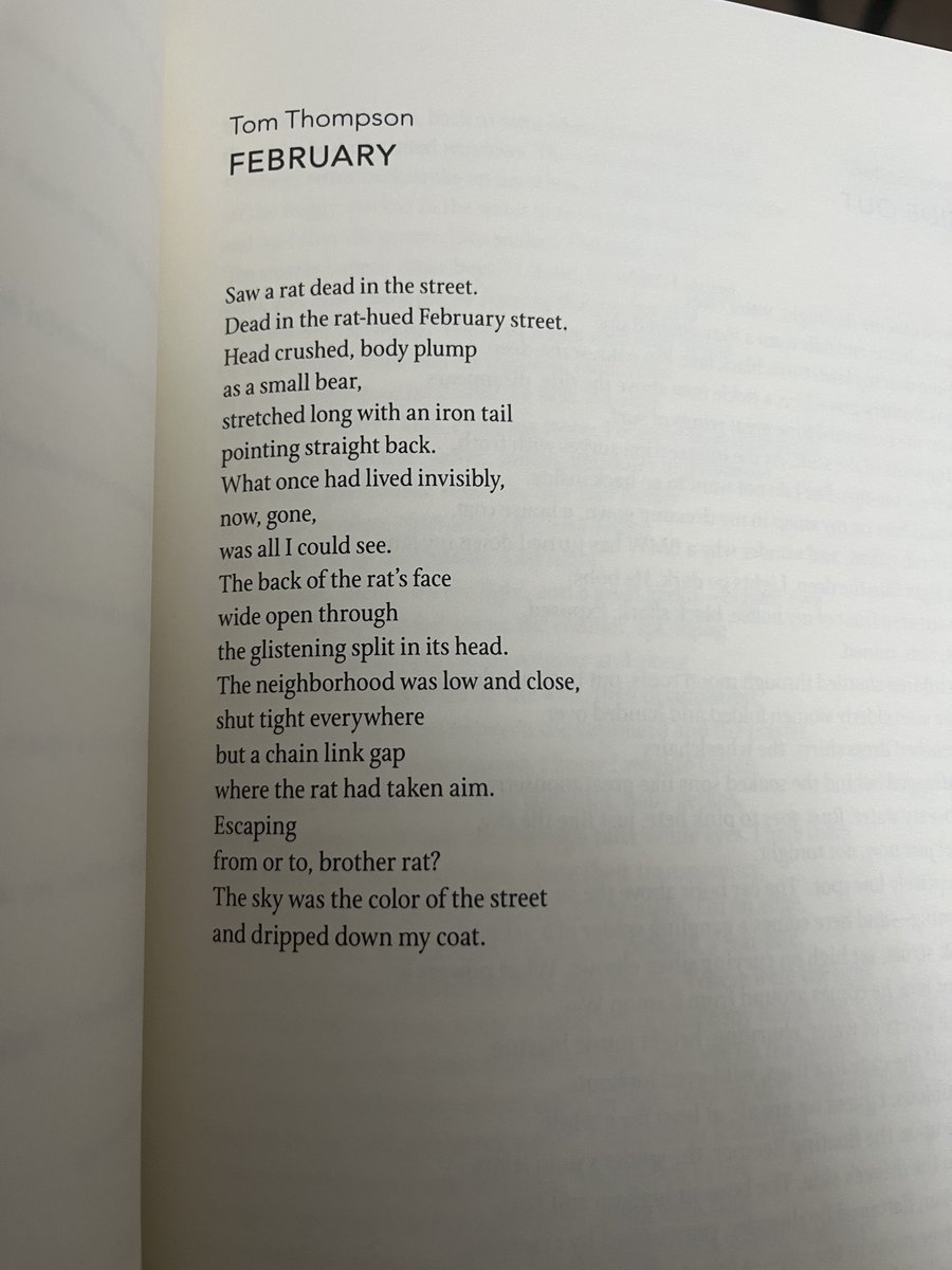 "February" by Tom Thompson

NEW from Issue 13 ✨
