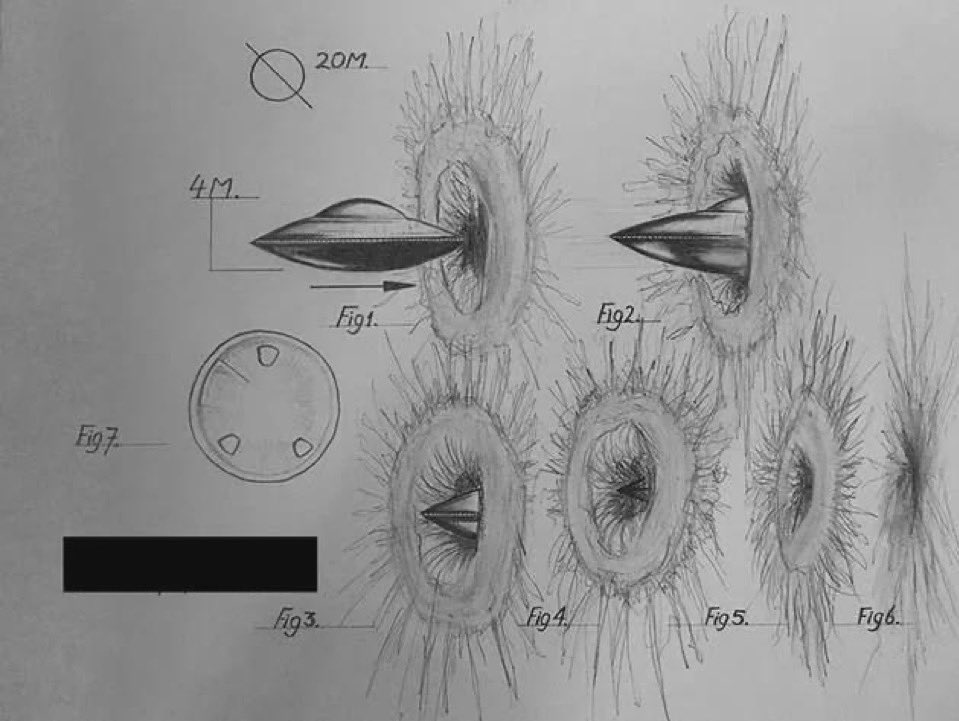 𝐄𝐋 𝐀𝐋𝐈𝐄𝐍𝐈𝐒𝐓𝐀 𝐃𝐎𝐂 (@docalienista) on Twitter photo 