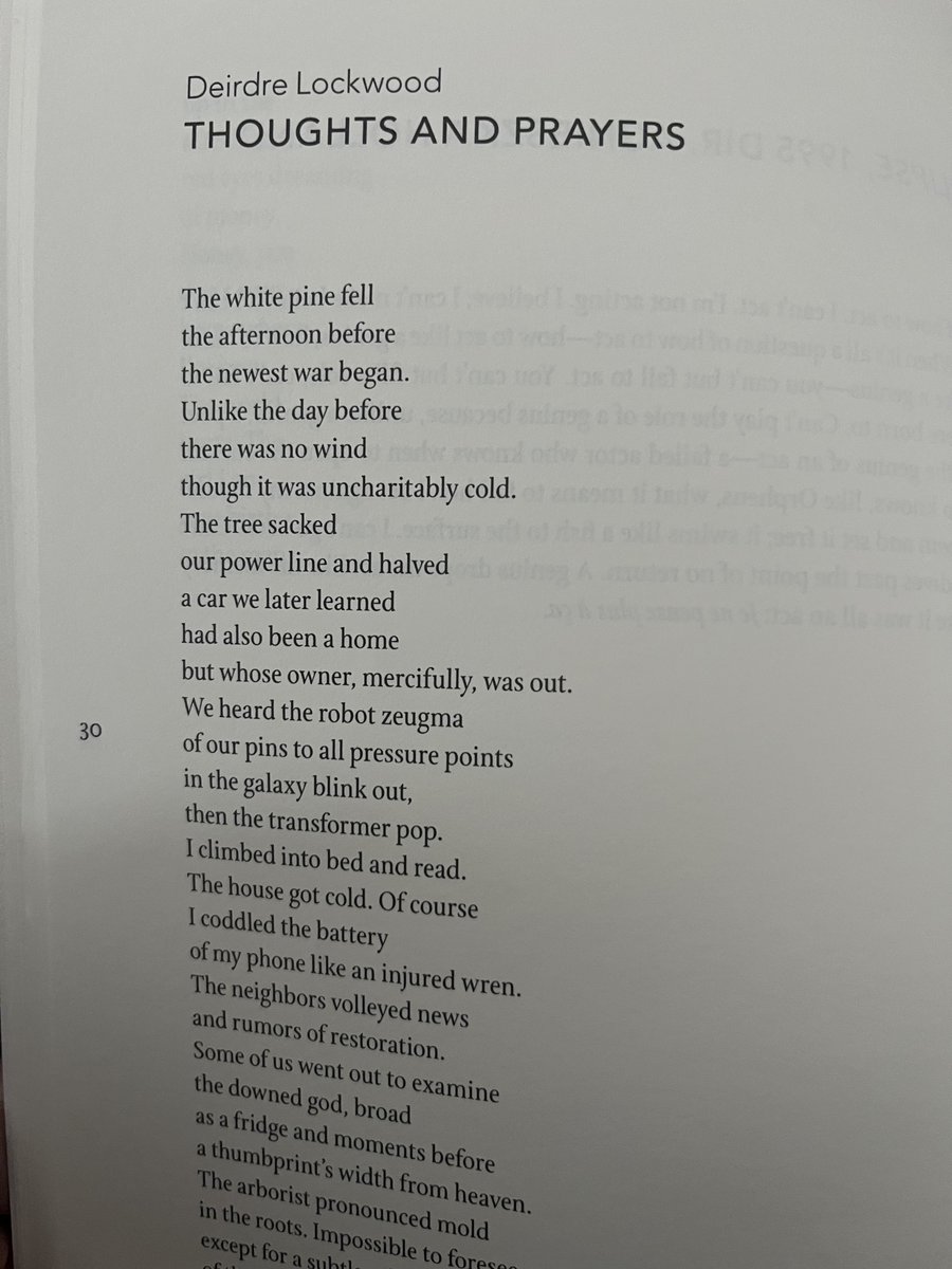 An excerpt from “Thoughts and Prayers” by Deirdre Lockwood 

NEW from Issue 13 ✨