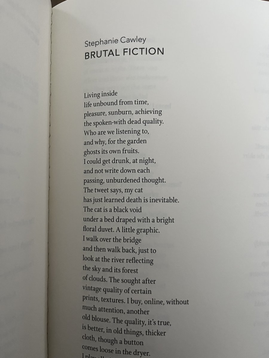 An excerpt from “Brutal fiction” by Stephanie Cawley  

NEW from Issue 13 ✨