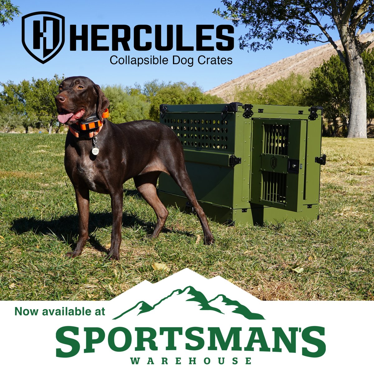 pethercules's tweet photo. You upgrade your gear—why not your dog’s? 🐕🦴 Find our top-rated dog crates now at Sportsman’s Warehouse! Built for the wild, made for your best friend. #SportsmansWarehouse #ServiceDogs #DogCrates #CollapsibleDogCrate #Adventure #Dogs #DogAdventures #HuntingDogs https://t.co/ETIzWPRWva