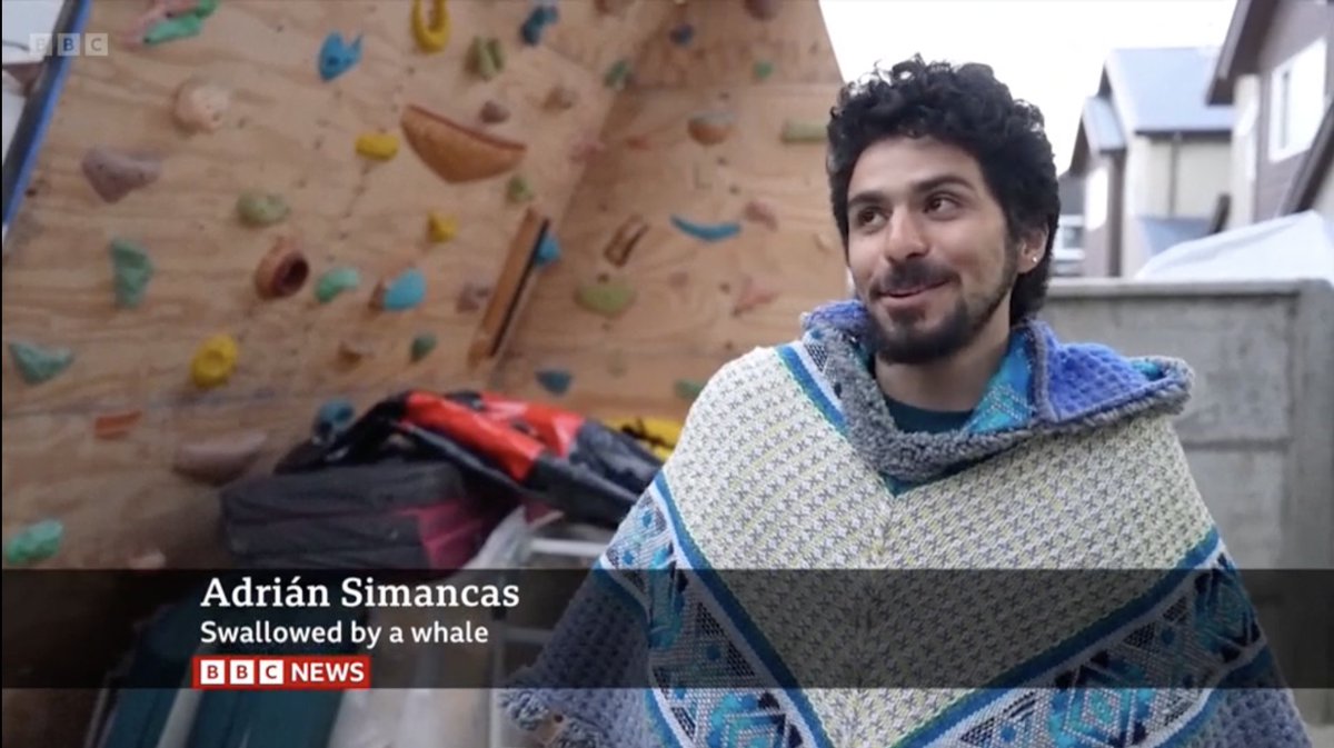 As news captions go, this has to be one of the cooler  ones to have under your name   #whaletale