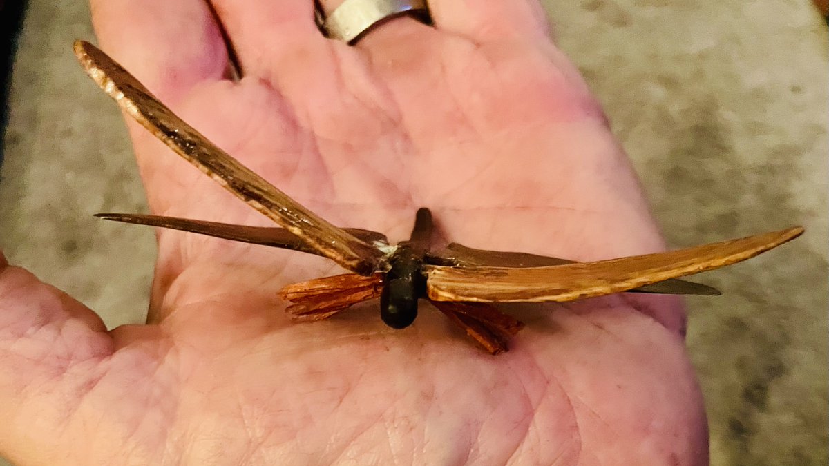 A number of years ago a friend returned from a tip with a chunk of Jerusalem Wood he found visiting the Garden of Gethsemane.  My mother loved dragonflies, so I used wood for the wings.  Body: African Blackwood The legs: Padouk.
Tools: <a href="/dremel/">Dremel</a> , <a href="/Ramelson/">Marcelino</a> detail chisels, and an