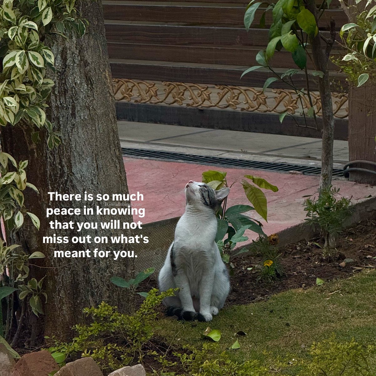 Synexdoche (@amor_fatti) on Twitter photo 