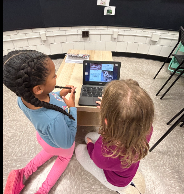 Lowe Elementary tweet media