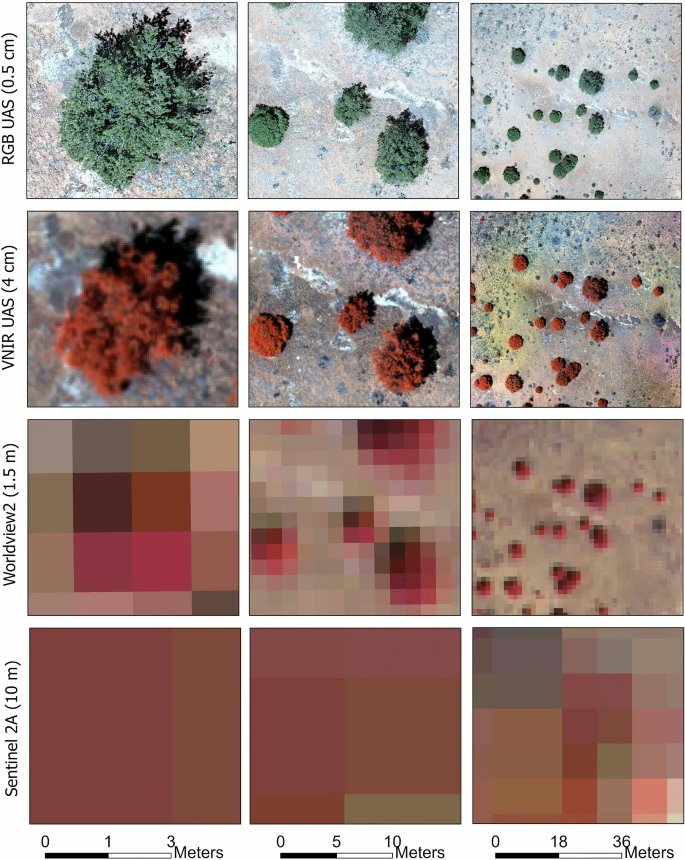 WildcatTao's tweet photo. High-resolution UAS imagery offers ecologically relevant information at a much finer scale than moderate-resolution satellite data. Check out this review of UAS applications in landscape ecology: https://t.co/V0U62RLF3m https://t.co/otYJ4Cb5Gf