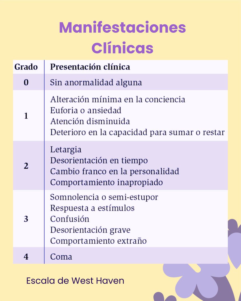 congresomedigen's tweet photo. ¿Quieres aprender más sobre encefalopatía hepática? Acompáñanos al congreso MEDIGEN revisaremos este y muchos temas más de la mano de expertos 🪻👩🏻‍⚕️👨🏽‍⚕️🧠

#unidosporelconocimiento #medigen #facmedunam #encefalopatiahepatica #medicina https://t.co/xU7ffNjovb