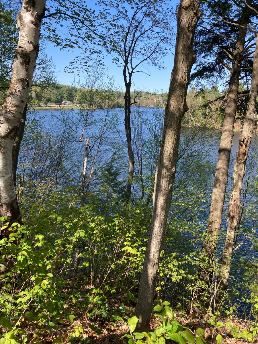JohnCarzello's tweet photo. Natural beauty is abundant in #RawdonQuebec. https://t.co/uoefDtKfz0