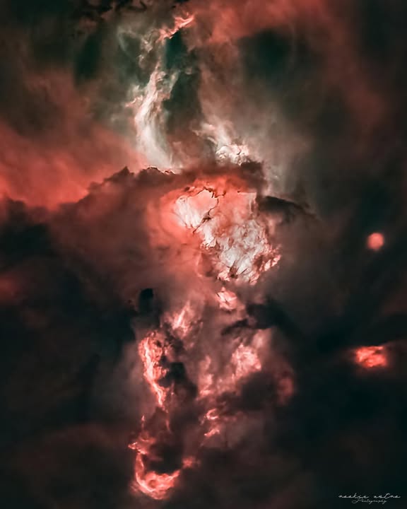 Celestron's tweet photo. ✨ Under Bortle-6 skies in Sydney, James Lusher captured the beauty of #NGC3576, the #StatueofLiberty #Nebula. This starless image truly brings the emission nebula to life. 🔥
🔭 Equipment: #Celestron #C8
#Astrophotography #CelestronC8 #Stargazing https://t.co/ZAGzuQyHpW