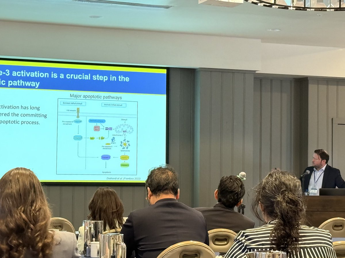 Navneet Singh, MD, ScM (@navneetsinghmd) on Twitter photo When you come to a meeting and your former <a href="/sunydownstate/">SUNY Downstate</a> intern is now presenting his sophisticated science. From scrambling together on ICU rounds to advancing our understanding of EC biology. Romy never fails to amaze!😄 <a href="/HopkinsPCCM/">Hopkins Pulmonary and Critical Care Medicine</a> When you come to a meeting and your former <a href="/sunydownstate/">SUNY Downstate</a> intern is now presenting his sophisticated science. From scrambling together on ICU rounds to advancing our understanding of EC biology. Romy never fails to amaze!😄 <a href="/HopkinsPCCM/">Hopkins Pulmonary and Critical Care Medicine</a>