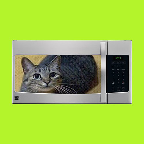 xenaartx's tweet photo. @TheMisterFrog $MICROWAVE

most viral meme and filter on tiktok 

dp5qgenZ2KBhieJGpd6DEfuNiGg2vuC85ZFgUy2pump https://t.co/vecMtyFEsK