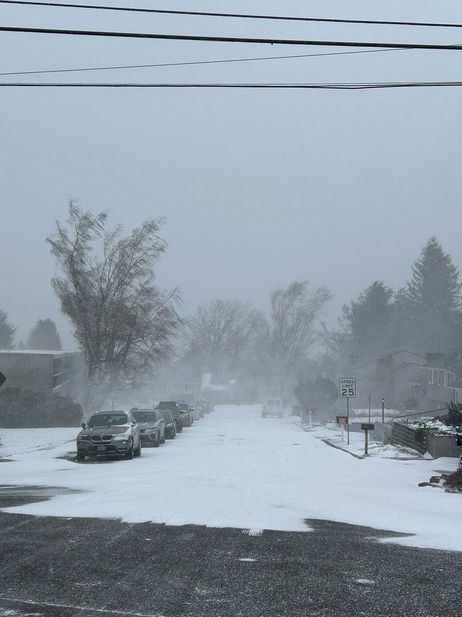 It’s a First Alert Weather Day  at <a href="/fox12oregon/">FOX 12 Oregon</a>…which means <a href="/UncleRico11/">Michael Heinrich</a> &amp; I are at our infamous live shot location in the West Slope neighborhood of SW PDX 📍3 years strong on weather coverage here! The wind is just as miserable as ever 😂 stay inside &amp; stay warm!