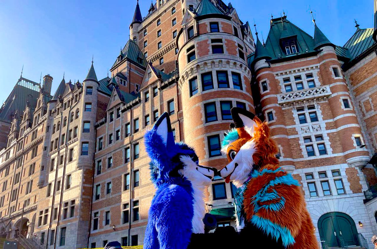 Oh! I completely forgot to announce it a while back, but i signed a lease to go back to living in my hometown quebec city ! Its official now for July 1st! 

Aaaaaaa can’t wait to be closer to most of my friends !!! 🥰🥰🥰

💙🦊 <a href="/Littlefox95/">Stace Fox 🦊</a>