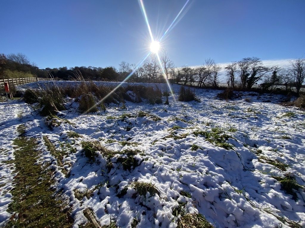 Check out the newly published report on Treatment Wetlands in the UK!
constructedwetland.co.uk/news
