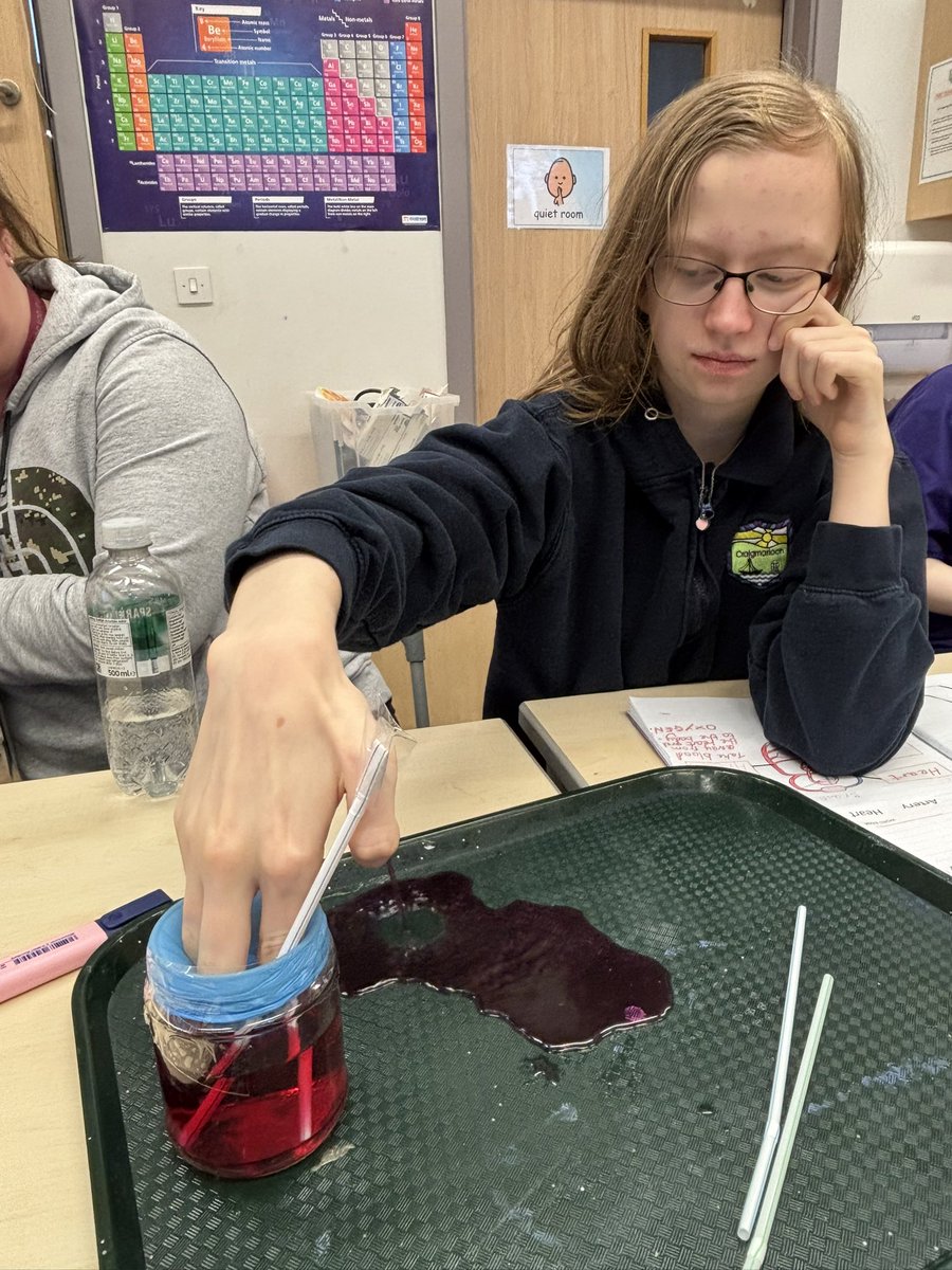 Craigy_Science's tweet photo. These seniors have been learning about the heart and have been looking at how blood is pumped around the body 🫀

@CraigmarlochINV https://t.co/8Ooted4xeY