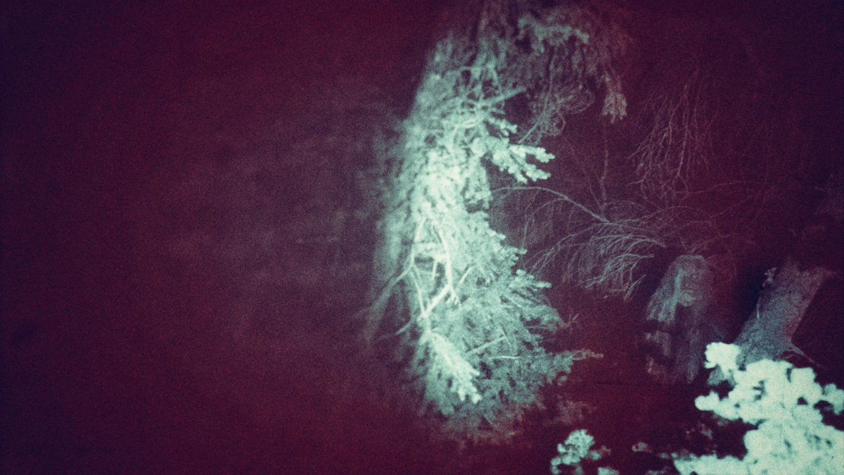 Dutch Marich tweet media