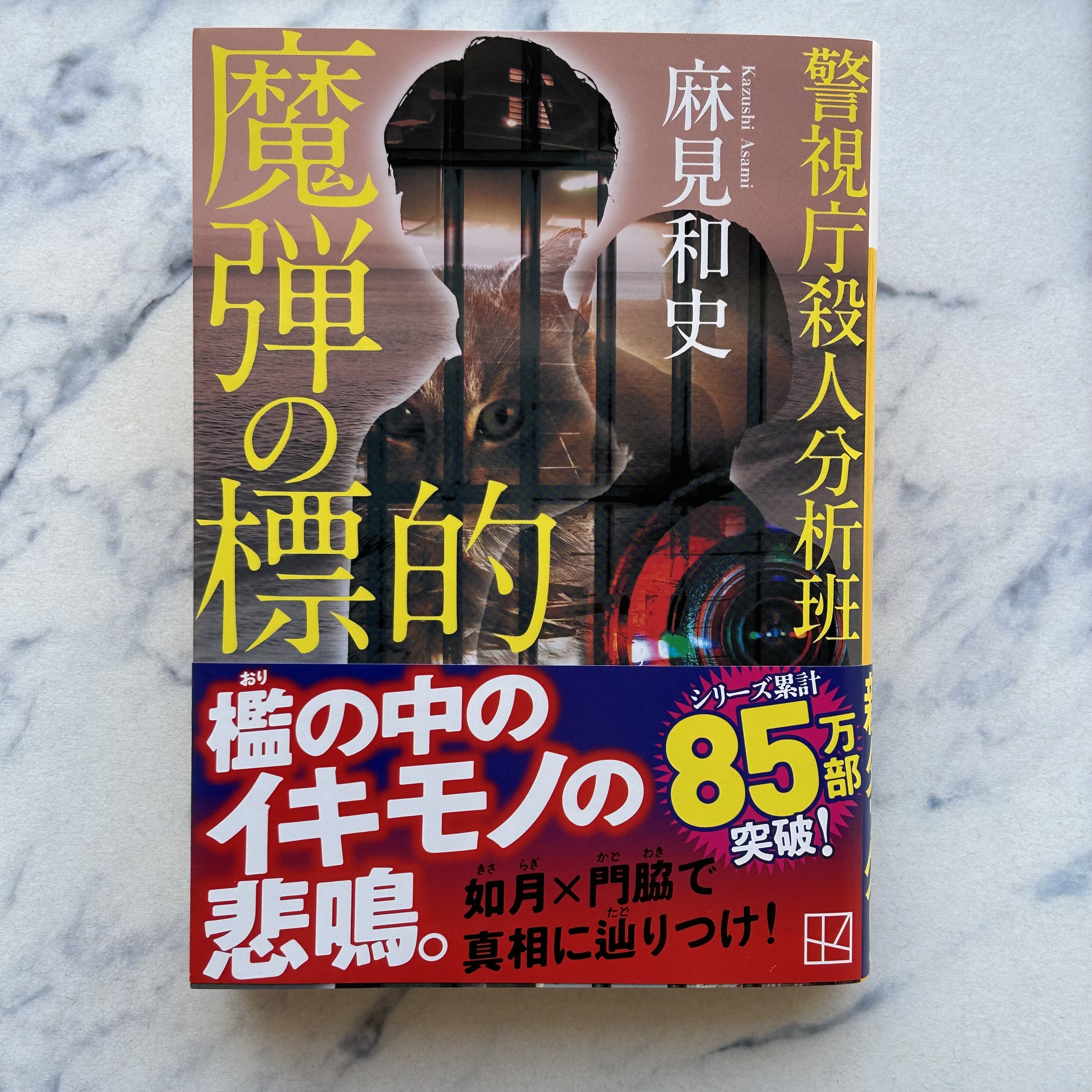 殺人分析班　8枚セット 71LfmaE+kuL._UF350,350_QL80_.jpg