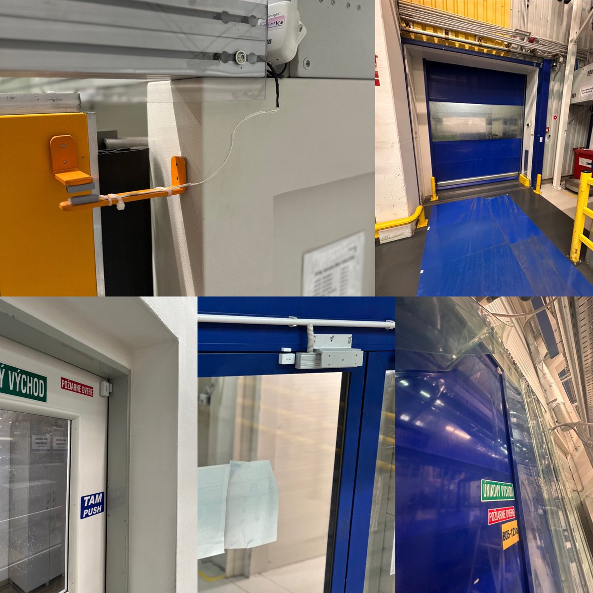 Heliotics🎈 tweet media