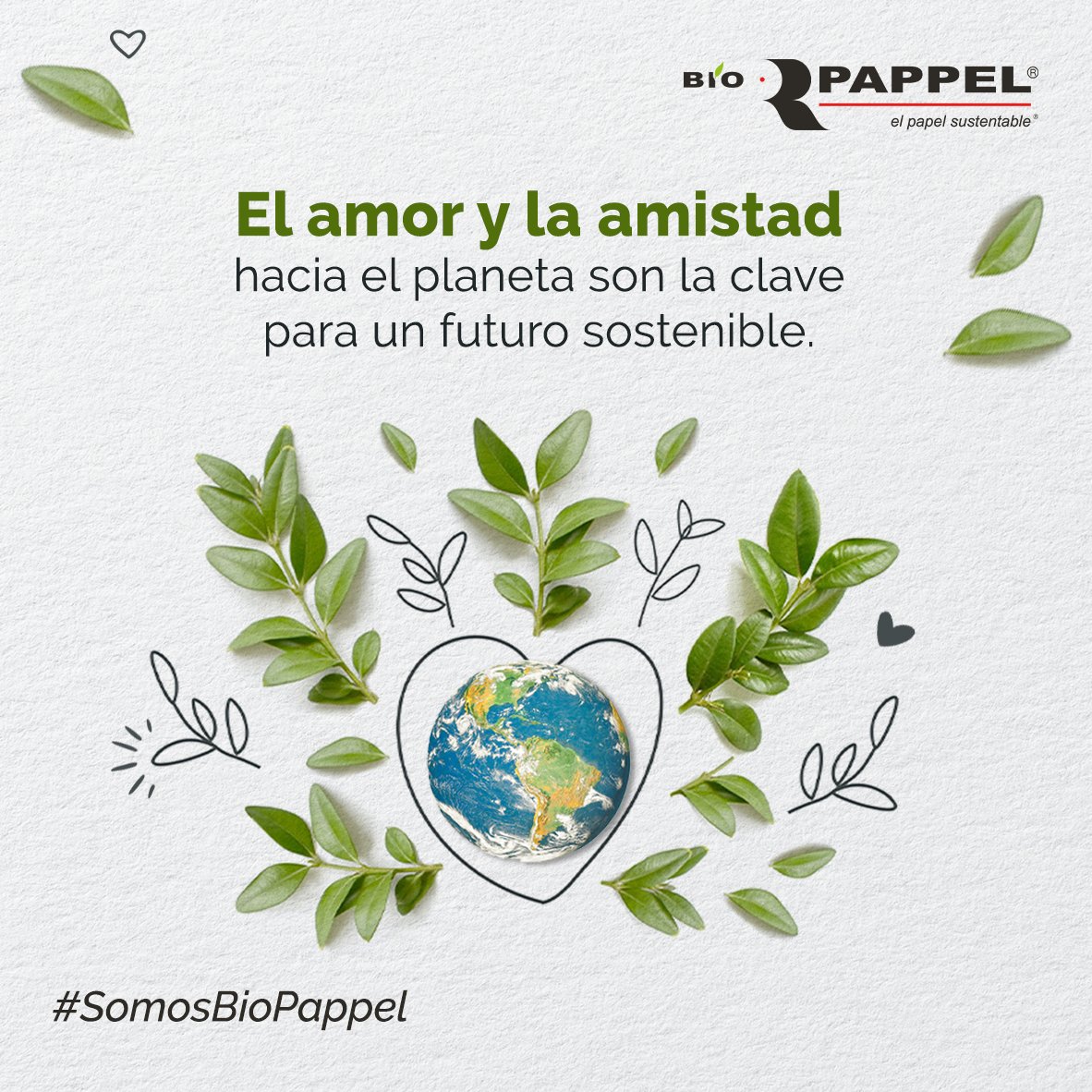 Bio Pappel tweet media