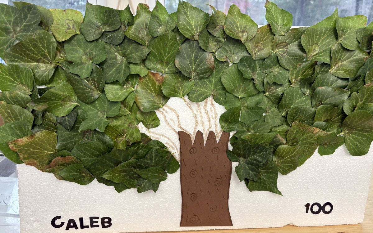 DebDelutis's tweet image. Happy 100th day of school!! I love their creativity!! ❤️❤️@EPSRocks  @LTPS1 #kstars