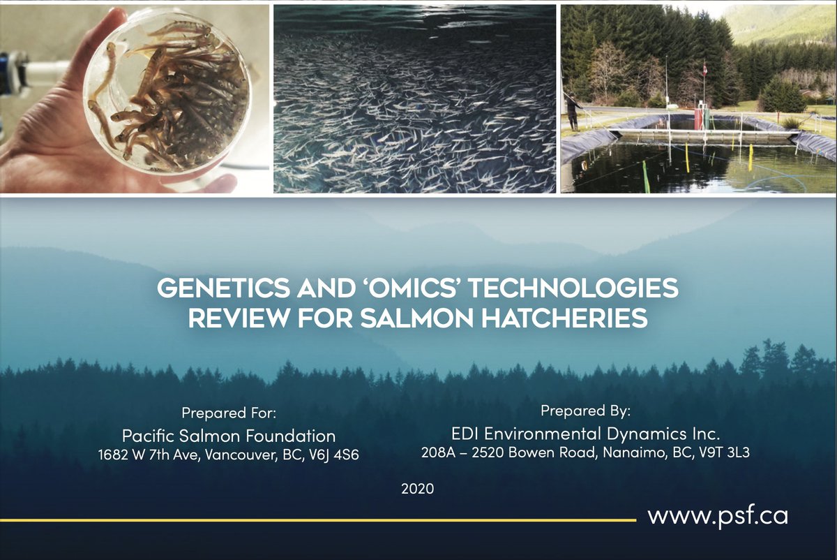 bsuther7's tweet photo. "Genetics and 'Omics' Technologies Review for Salmon Hatcheries", from @aimee_houde (EDI). 
(link below) https://t.co/Obc8gRg4eD