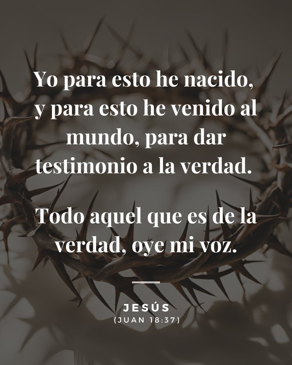 Un Mero Discípulo De Jesús tweet media