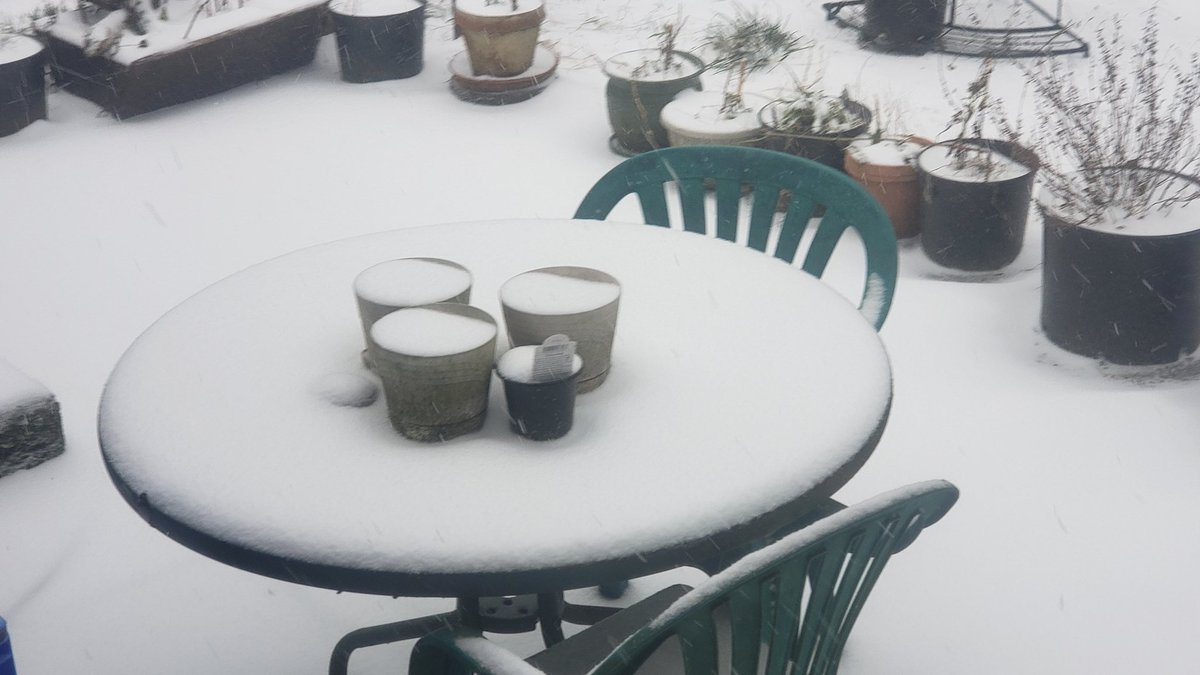 dekebridges's tweet photo. Portland... we have snow!
Stay home. Hot chocolate time!
#pdxweather #orwx #Oregon https://t.co/GQm8qodnou