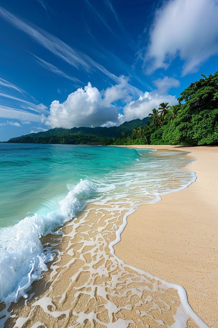 Seascape Nature tweet media