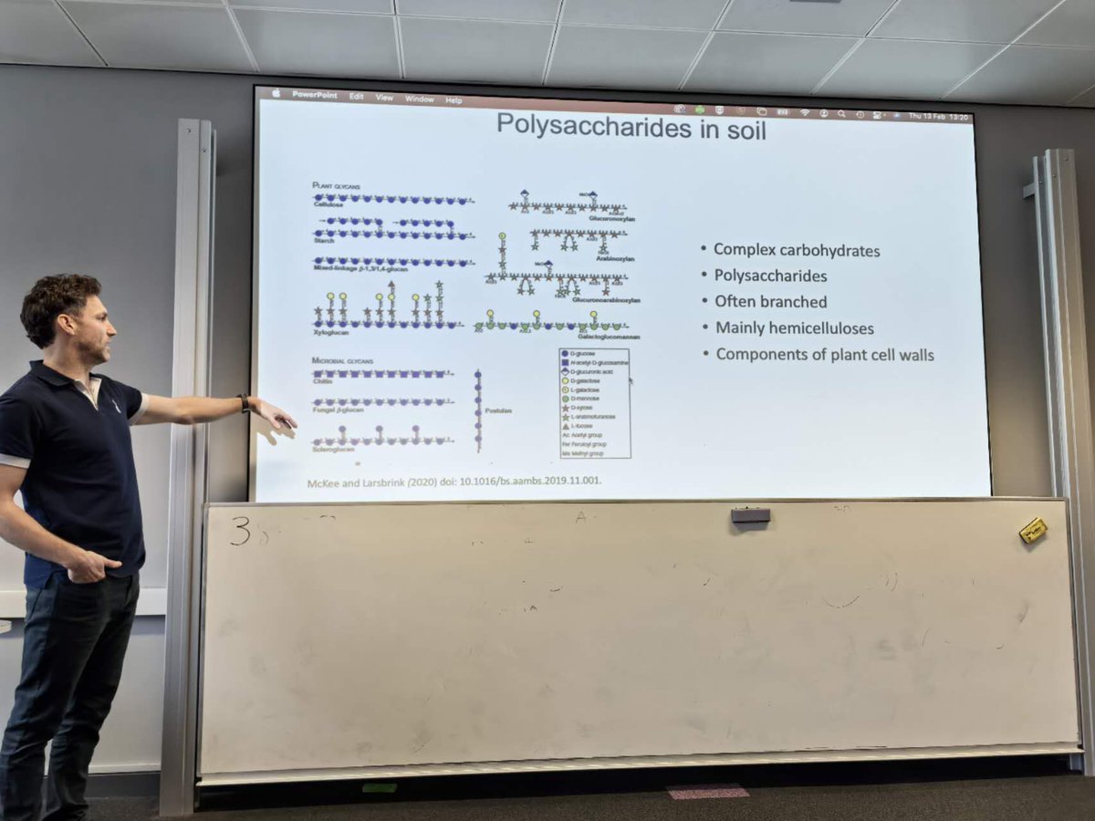 Yin Chen tweet media