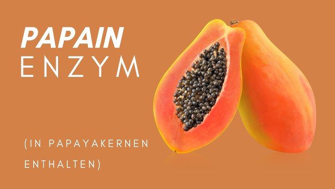 #Papain, das Enzym aus Papaya, bietet viele Vorteile. Es bekämpft Parasiten und Würmer im Darmbereich! Papain wirkt verdauungsfördernd, entzündungshemmend und stärkt das Immunsystem. Es kann die Heilung von Wunden und Verbrennungen beschleunigen. Mein Tipp: