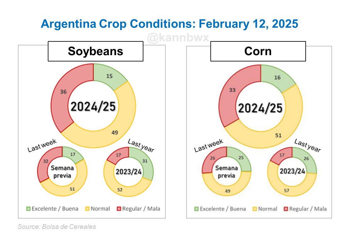 🇦🇷Crop conditions in Argentina fell again this week despite recent rains. Only 15% of #soybeans and 16% of #corn are in good condition, down from 17% and 25% last week. At least a third of both crops are in poor shape.