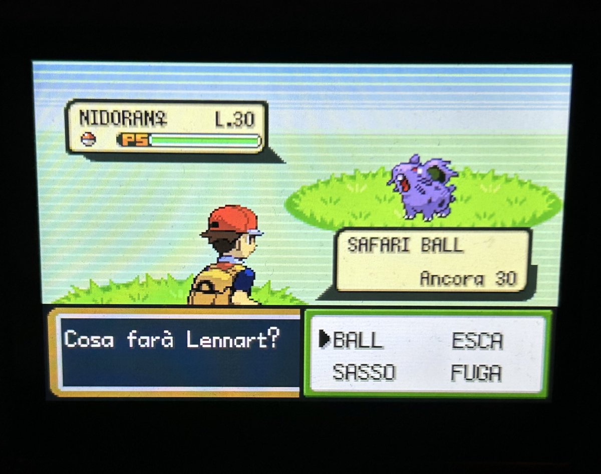 WADareyouhunting tweet media