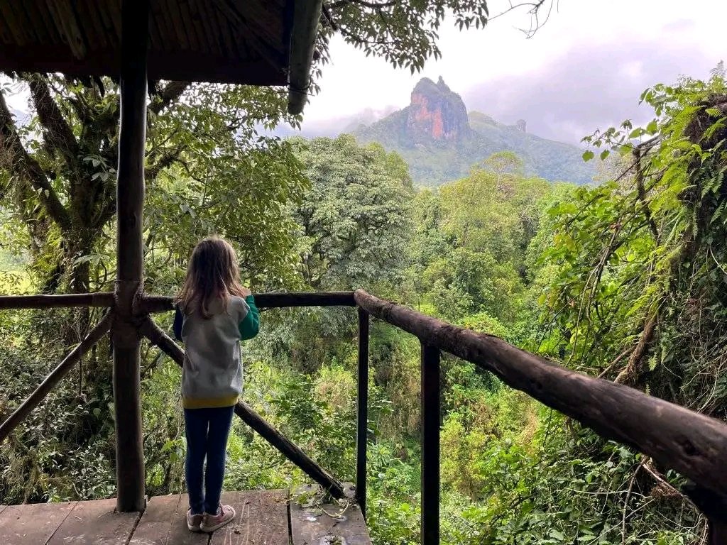 Bale mountains adventure,Ethiopia (@ebrahimahmeded2) on Twitter photo 