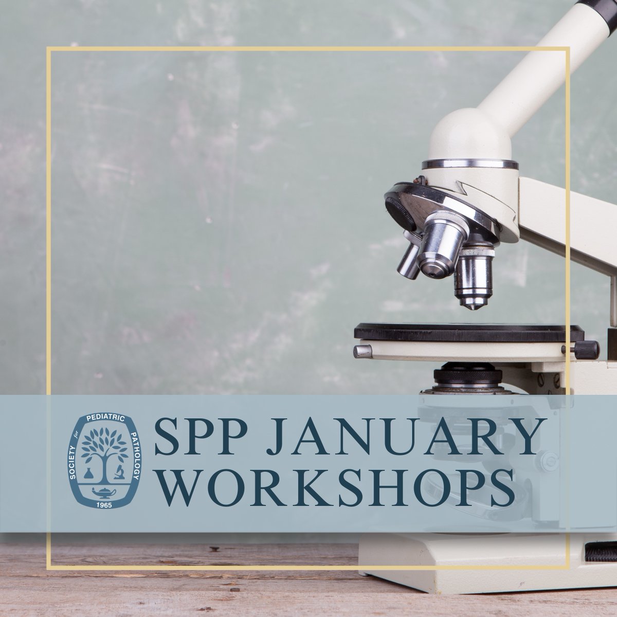 SocPediPath's tweet image. 📢 Call for Workshops! 📢
SPP is accepting workshop proposals for 2026 & 2027! 📝 Share your expertise & shape the future of pediatric pathology education.
🔗 Submit now: ow.ly/RgRQ50UZAaS
#SPPEducation #CallForWorkshops #PediatricPathology