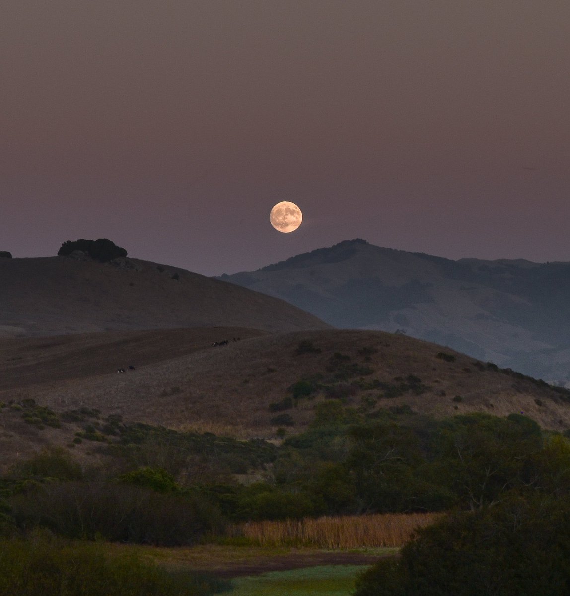 GM. Captured the full moon spectacle using a Reflex-NIKKOR 500mm, f/8 mirror lens

I am <a href="/_basedart/">𝙗𝙖𝙨𝙚𝙙</a>