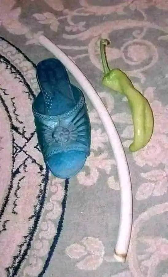 منذ غياب هذه الوسائل للتربية انهار الجيل وضاع !!!👌