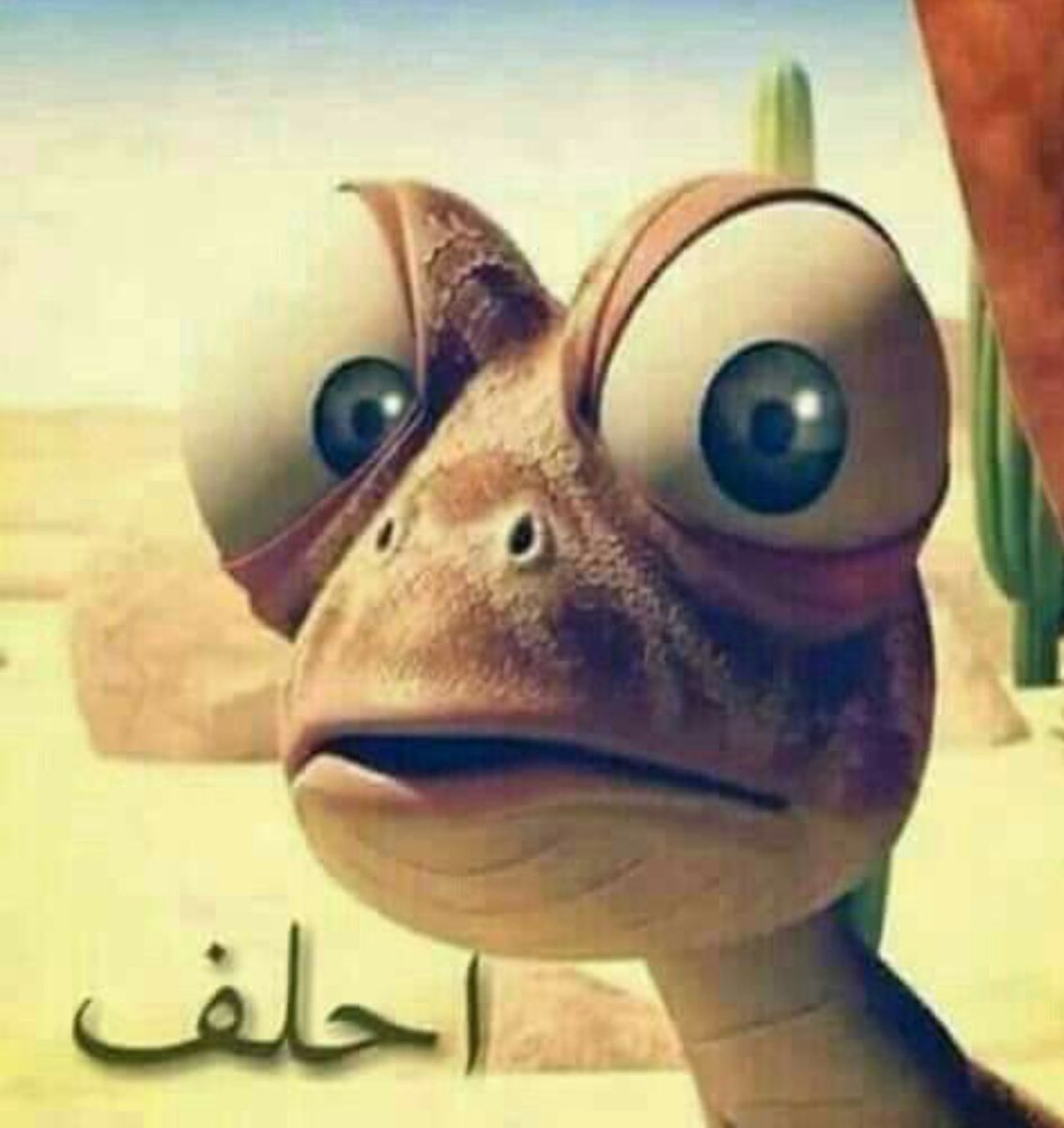 ●❥⃝∗⁎.زهراء الربيعي ⁎∗❥⃝* tweet media