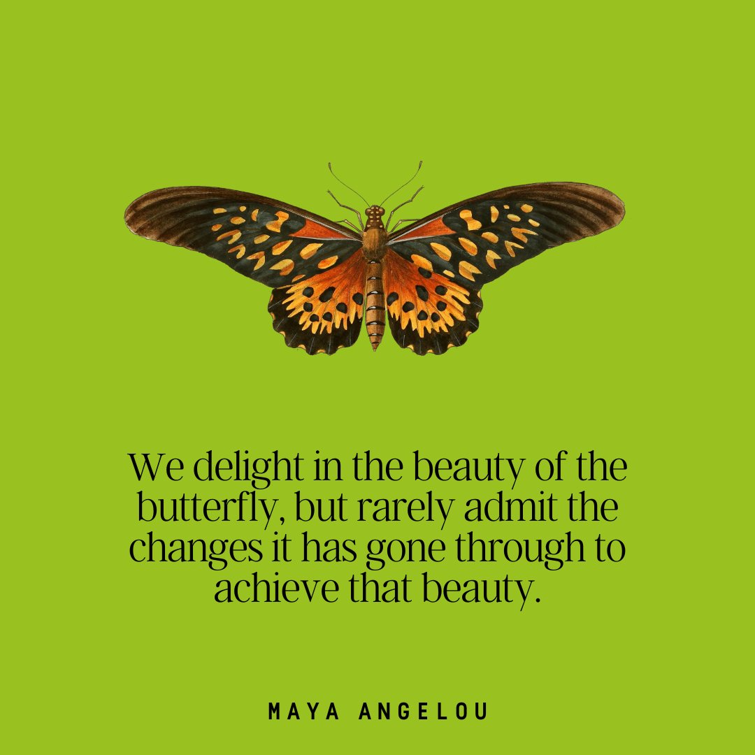 What if you took a moment to acknowledge your progress and growth?