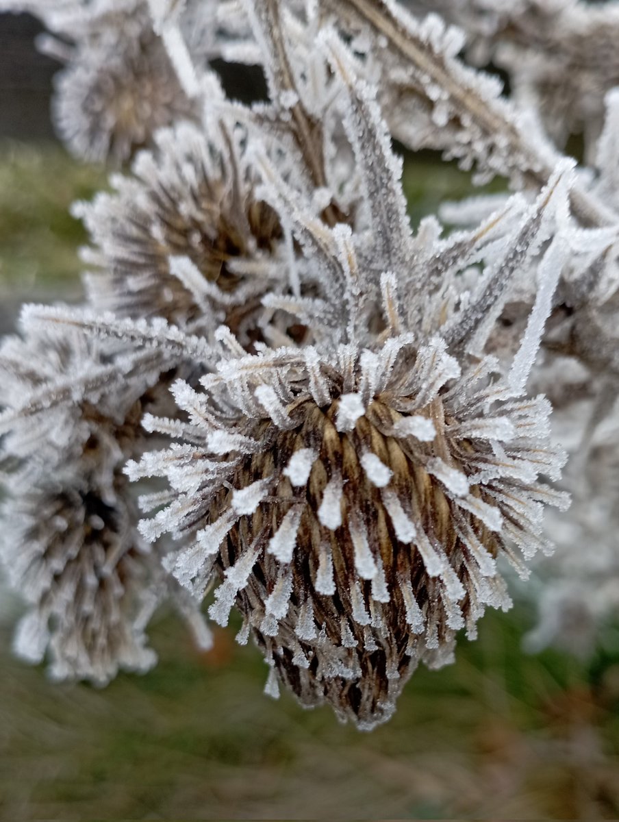 Silke2469's tweet photo. Heute wieder faszinierender Winter. https://t.co/omWZIMjI14