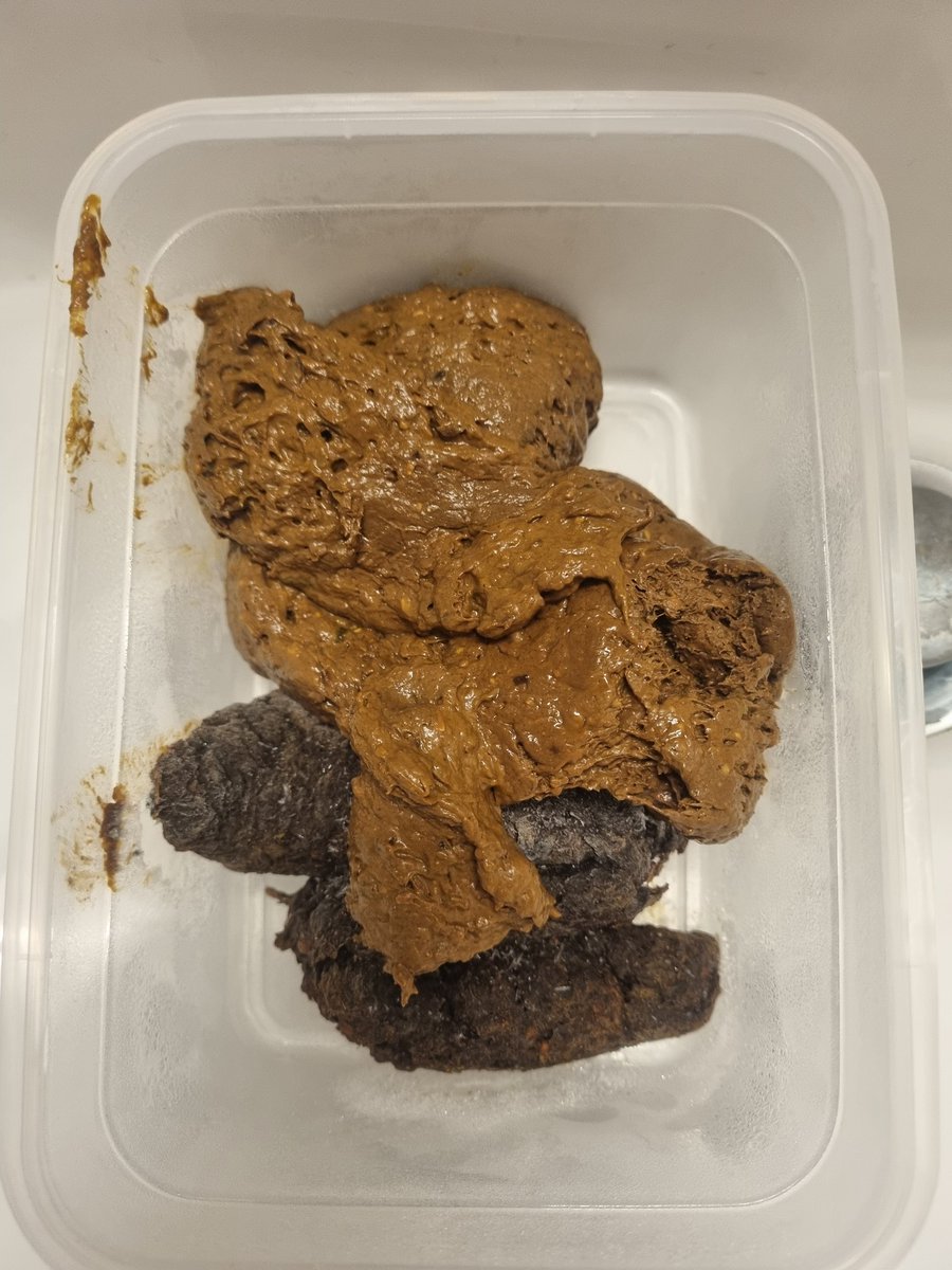 ⚠️Monday 17.02. from 11 p.m. live stream on Scatbook: scati_own &lt;&lt;&lt;free! 

I will eat shit, smearing, work my hole and  more.  be there! could always be the last time. Link will be posted under this post.⚠️
If you have any questions or requests? comment pls❤️